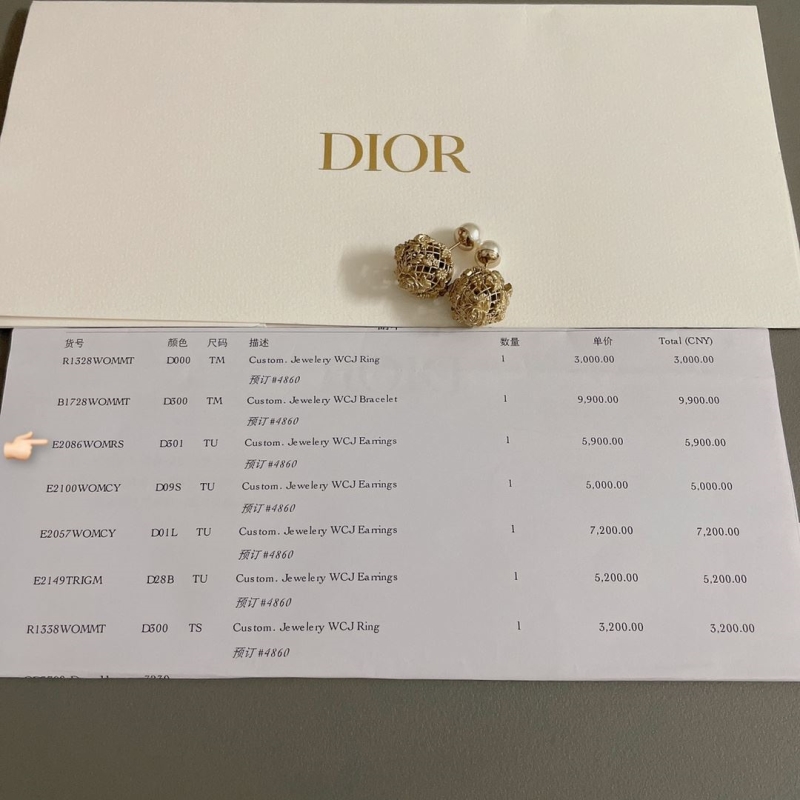 chr1st1an D10r earrings